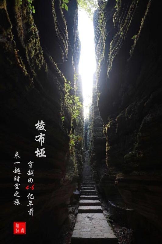 爱的礼物