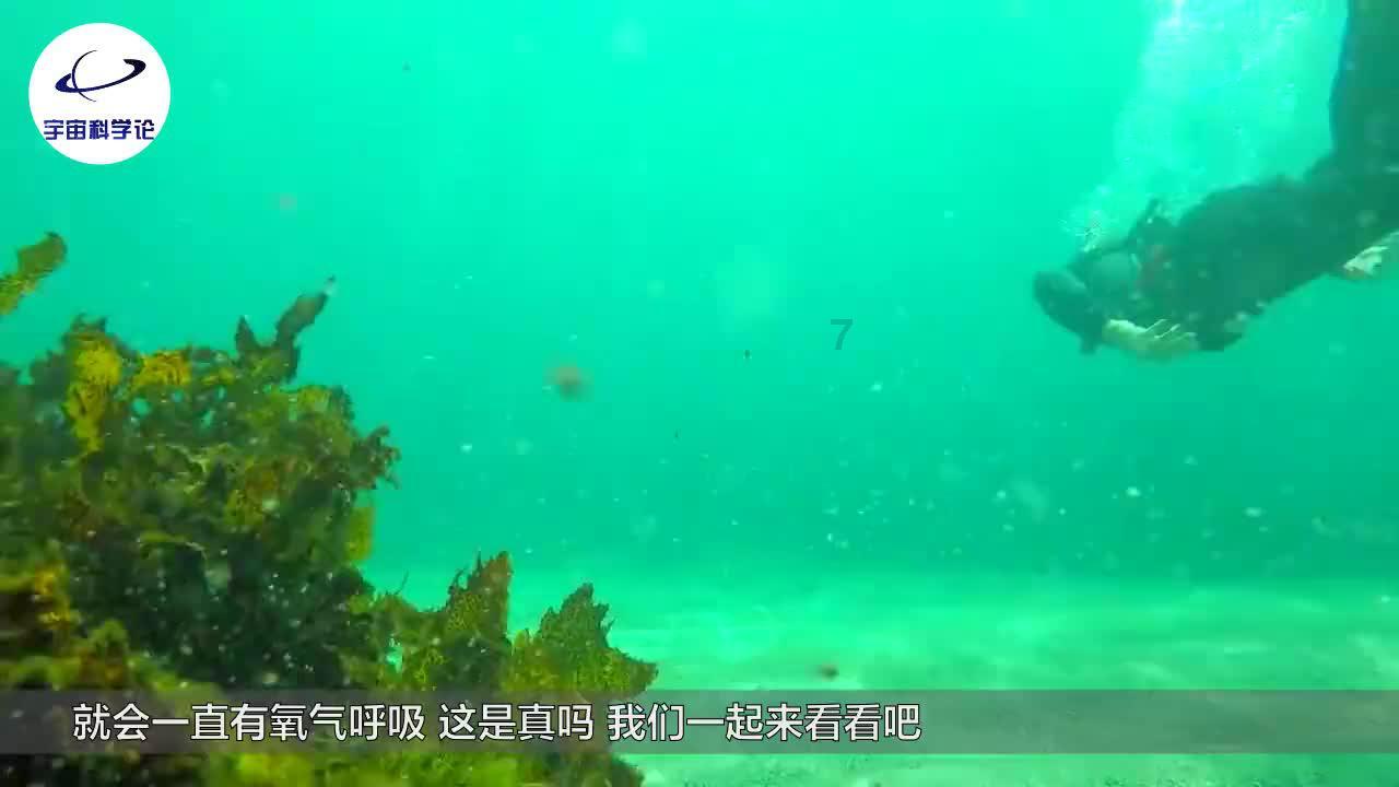 年货中的山野之鲜