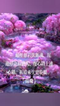 cmd怎么以管理员身份运行win11-最专业的问答类网站
